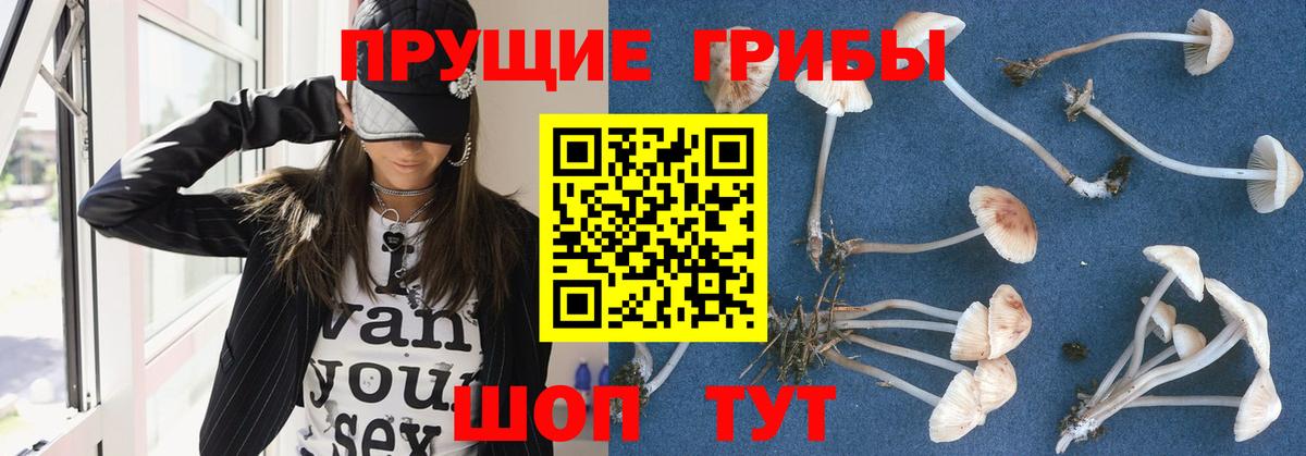 Псилоцибиновые грибы Psilocybine cubensis  Галлюциногенные грибы Cubensis  закладка  Химки  Вход с VPN 